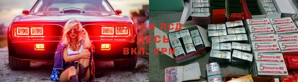 эйфоретик Касимов