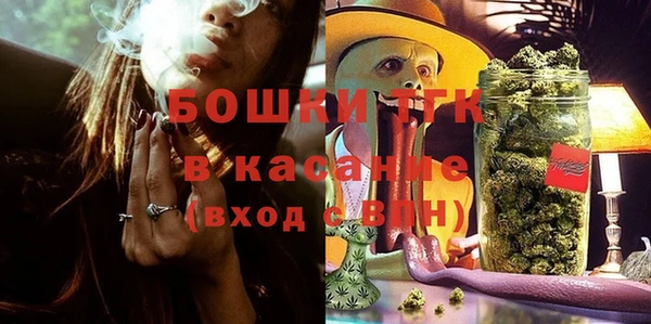 эйфоретик Касимов