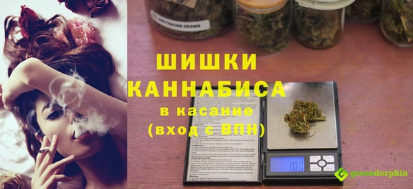 ГАЛЛЮЦИНОГЕННЫЕ ГРИБЫ Корсаков
